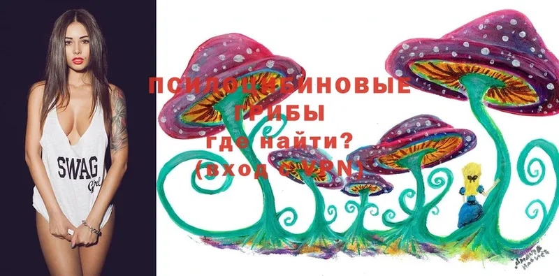 Псилоцибиновые грибы Magic Shrooms  Коркино 